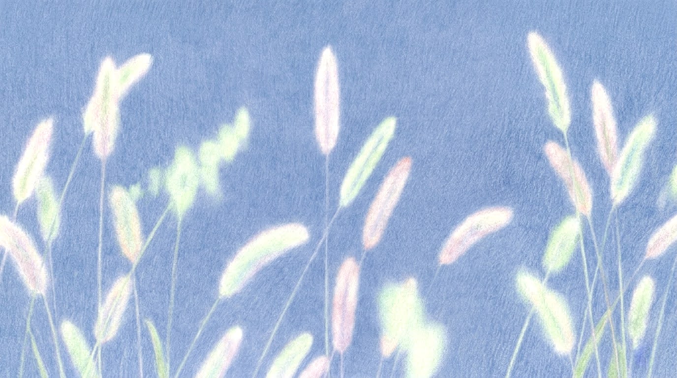 Pastel grass seed heads on blue — delicate bunny-tail grass stems on a soft periwinkle background